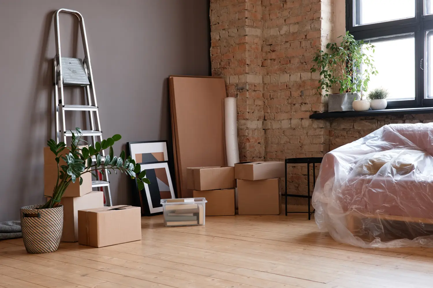 Wohnzimmer mit Umzugskartons, verpacktem Sofa, Leiter und Pflanzen während eines Privatumzugs in Hamburg