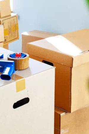 seniorenumzug-hamburg-bild1